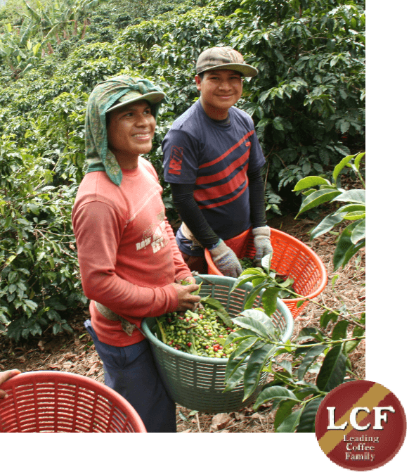 焙煎所のこだわり